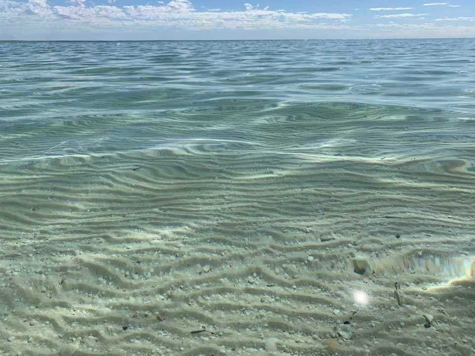 A clear ocean with a sandy seafloor under a bright sky.