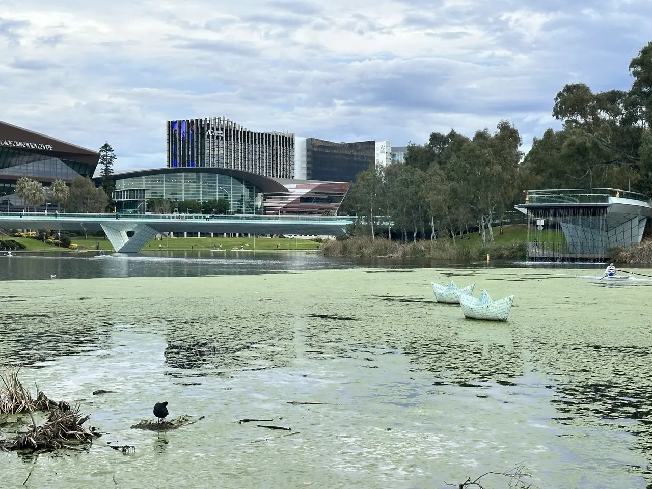 Where to find tender opportunities in South Australia