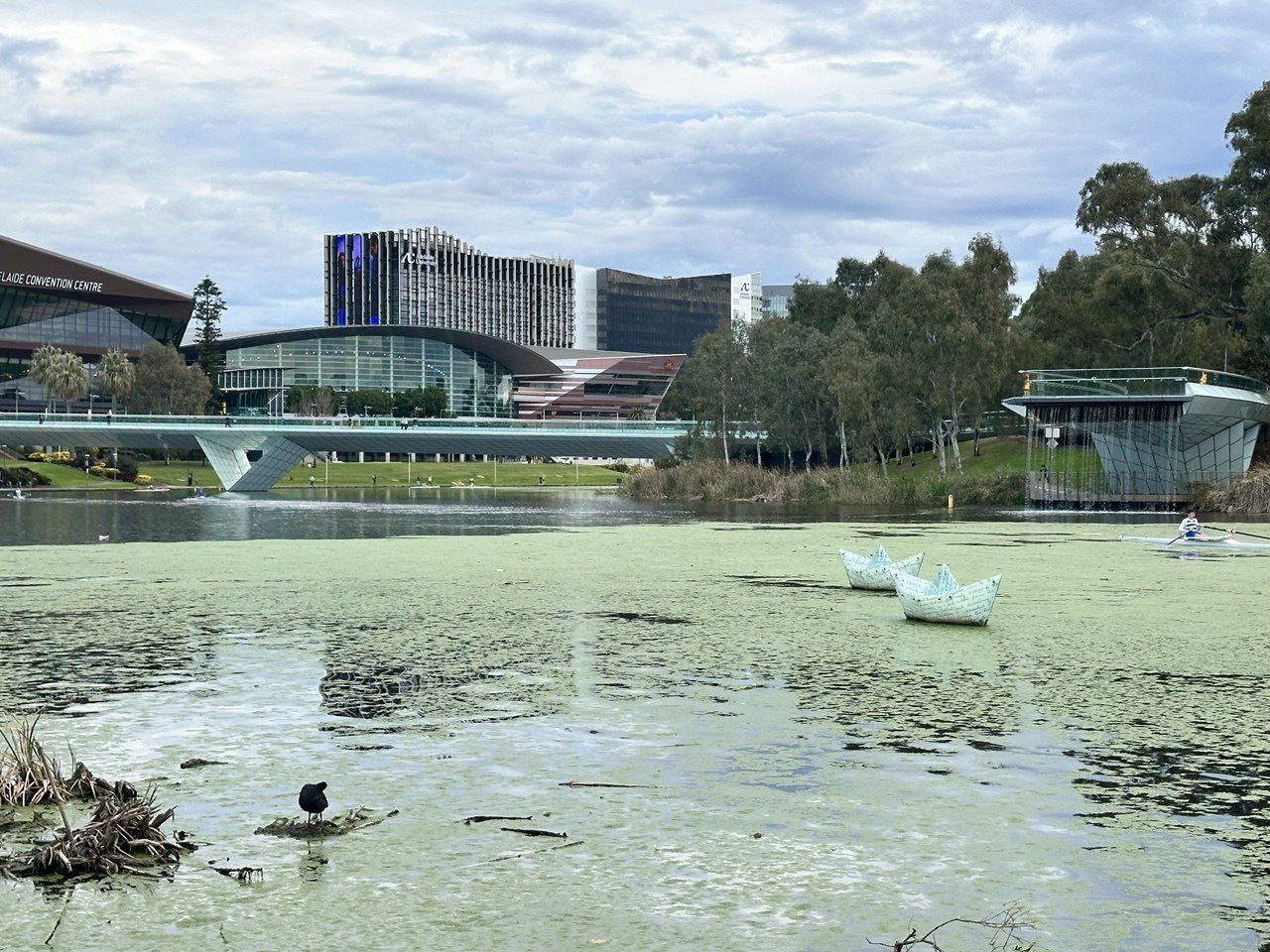 Where to find tender opportunities in South Australia