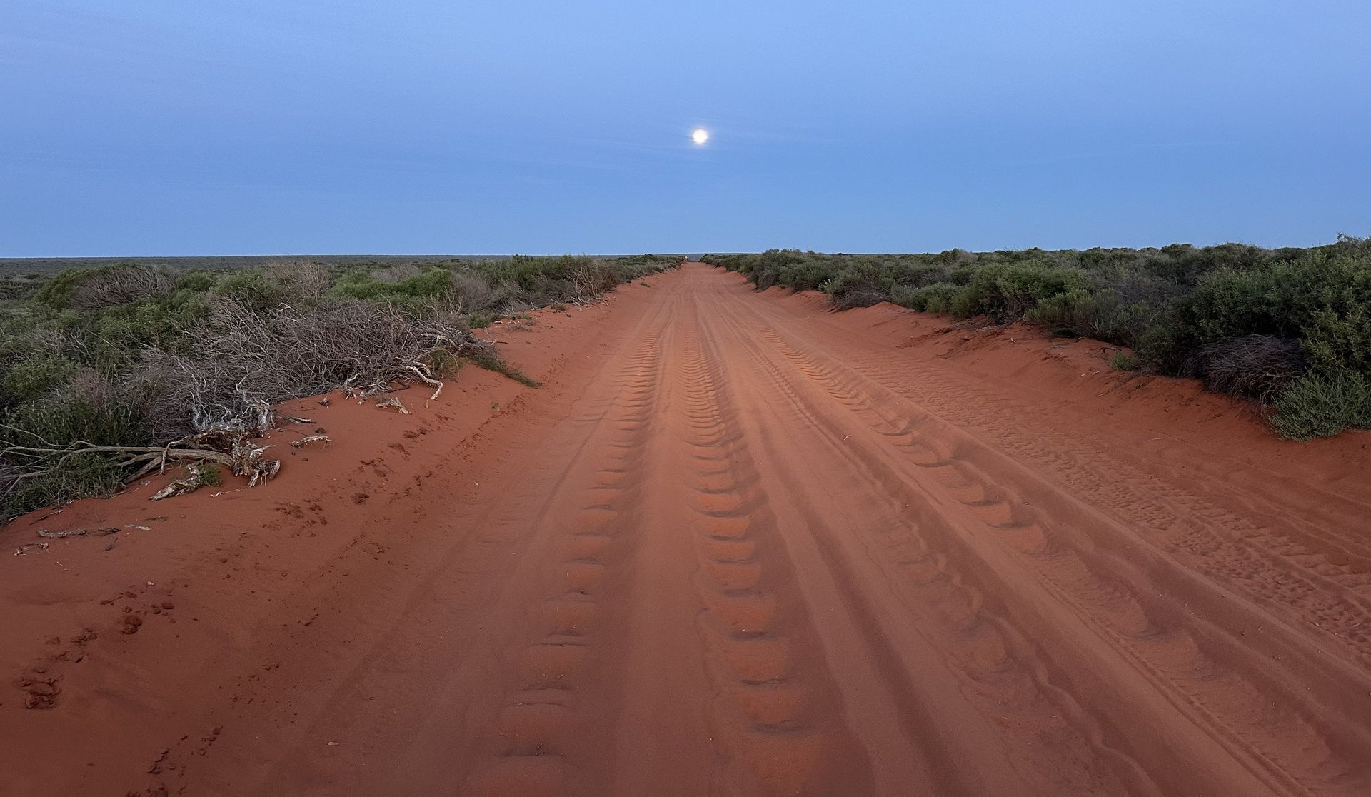 A sandy dirt road under a moonlit sky with surrounding bushes.