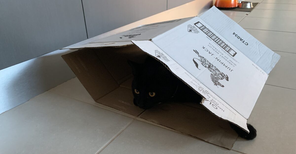 jasper-strategising-scaled-e1759299534469