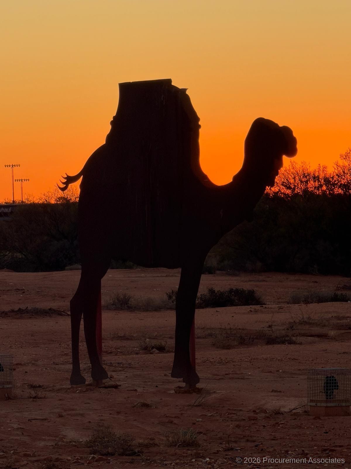Silhouette of a camel statue against a vibrant orange sunset