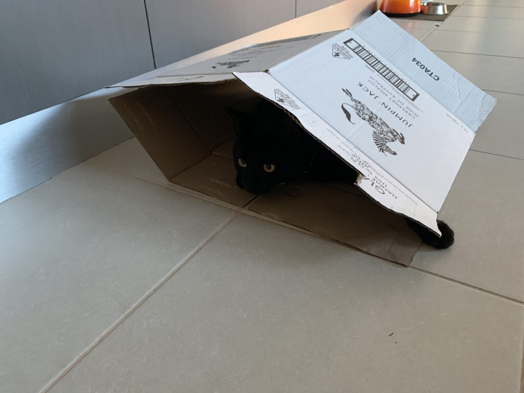 tender strategy