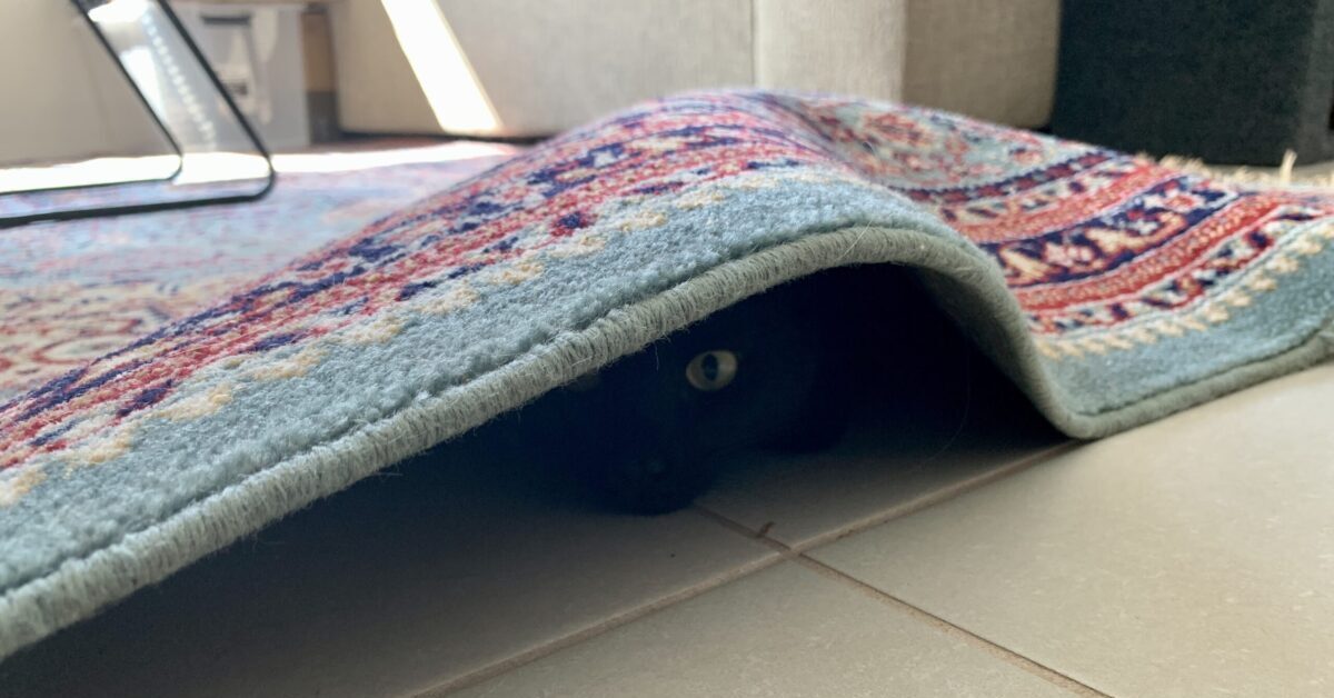 Are Cover Letters Important when Writing a Tender Response?